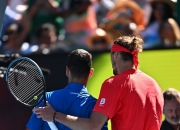 英雄联盟总决赛时间-关于温网力克联合杯，德约科维奇带队取胜的信息