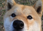 LOL决赛-棋局与舞者，巴黎的立体棋盘如何映衬贝林厄姆的独舞