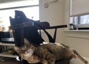 英雄联盟总决赛-跨越大洋的44分风暴，当浓眉穿上76人球衣打崩上海队防线