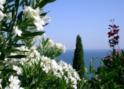 英雄联盟总决赛时间-门神封圣！库尔图瓦终场神迹铸钢铁壁垒，巴黎一击制胜碾过尤文残躯