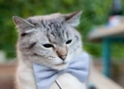 英雄联盟总决赛直播-元宇宙哨响2026世界杯之夜，爱德华兹关键制胜