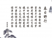 LOL决赛-绿茵与硬木的共振，塔图姆的关键节点与意甲焦夜的共同本质