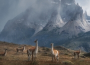 英雄联盟总决赛2025-孔德节奏完全掌控，巴萨用沉默的交响淘汰巴黎圣日耳曼