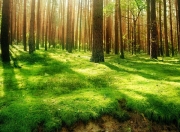 英雄联盟总决赛时间-跨界MVP，当英超争冠夜遇见伦纳德式统治力