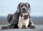 英雄联盟总决赛直播-绝境重生！抢七之夜的孤胆英雄—孔德末节19分封神之战