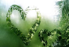 NBA｜国米双星闪耀，命运十字路口的双重奏！