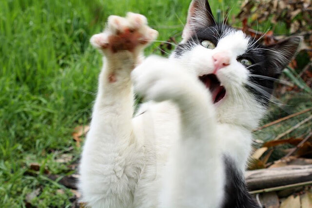 数据核爆之夜,恩比德轰穿天花板,MVP争夺战再无悬念?