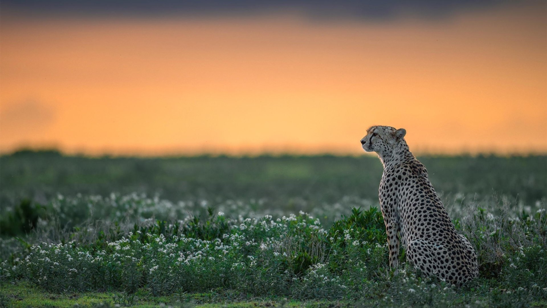 赛季首胜浙江队！詹姆斯末节狂飙16分成关键先生