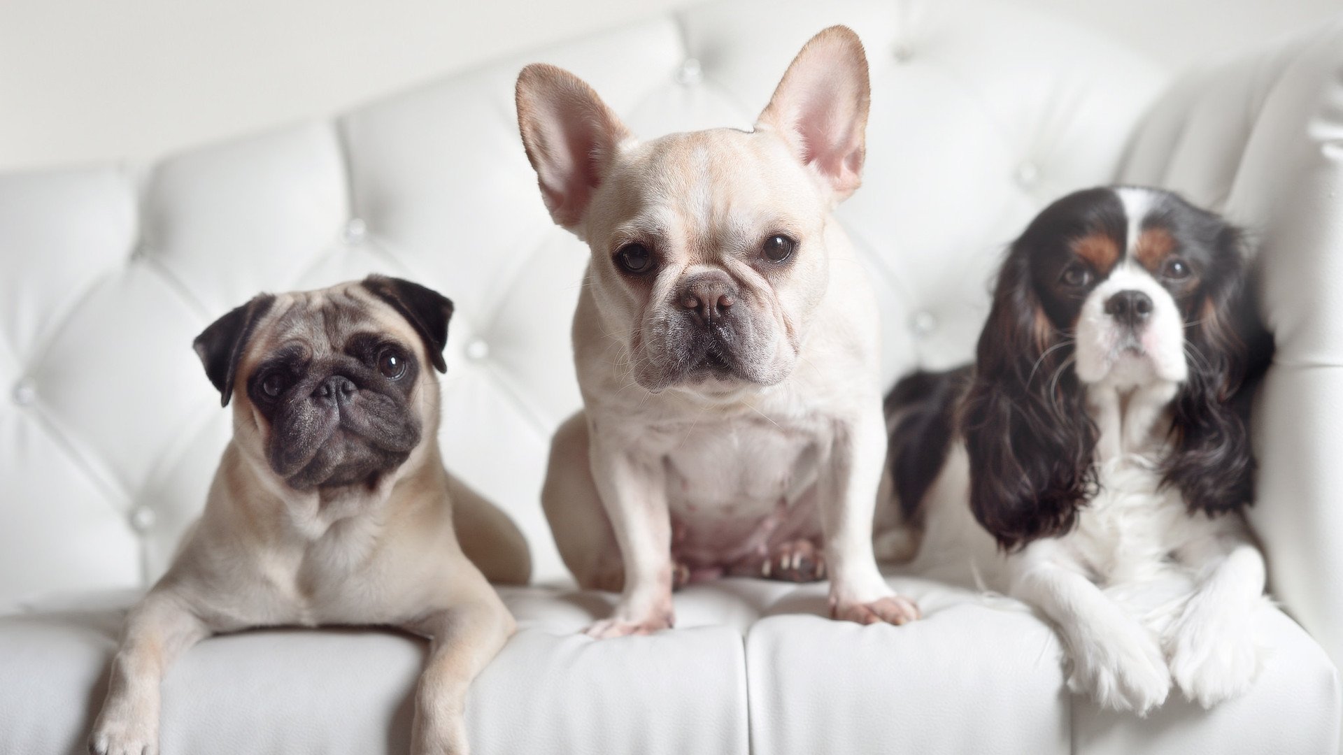 世界熄灭时,野火独自燃起,记小伊布加时一箭封喉