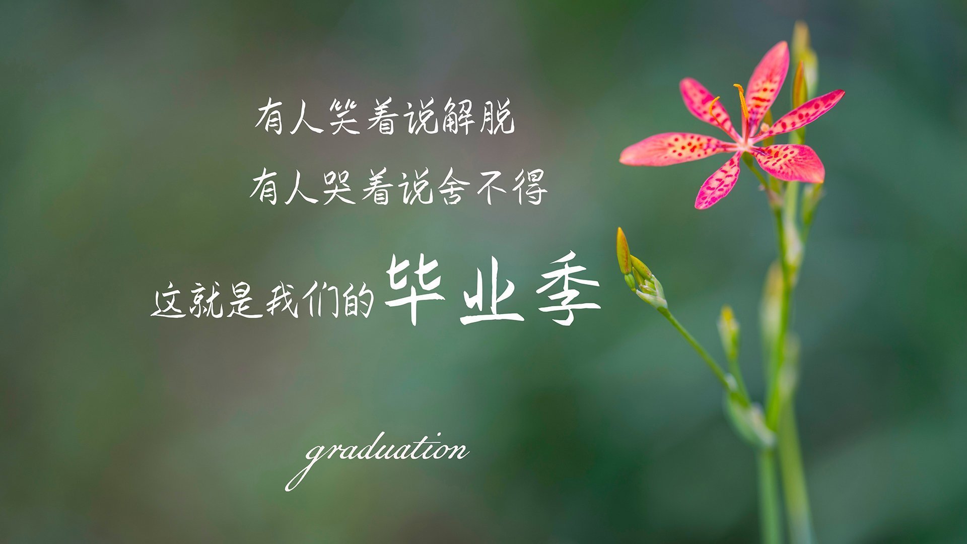 锁死!年度焦点之战霍勒迪让对手绝望,他的防守已成艺术