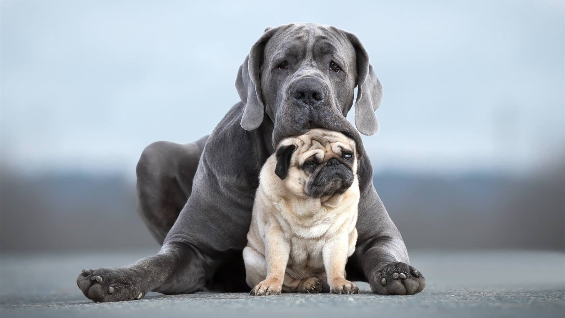 绝境重生!抢七之夜的孤胆英雄—孔德末节19分封神之战