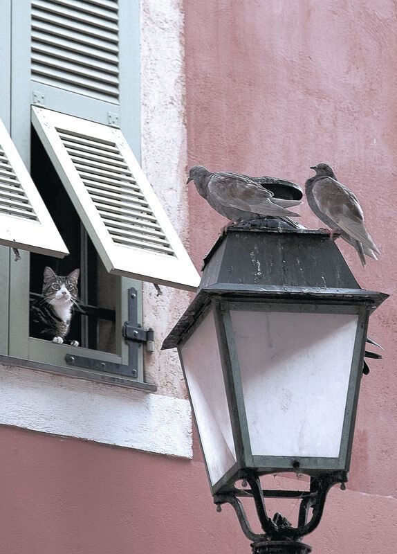 绝境重生!抢七之夜的孤胆英雄—孔德末节19分封神之战