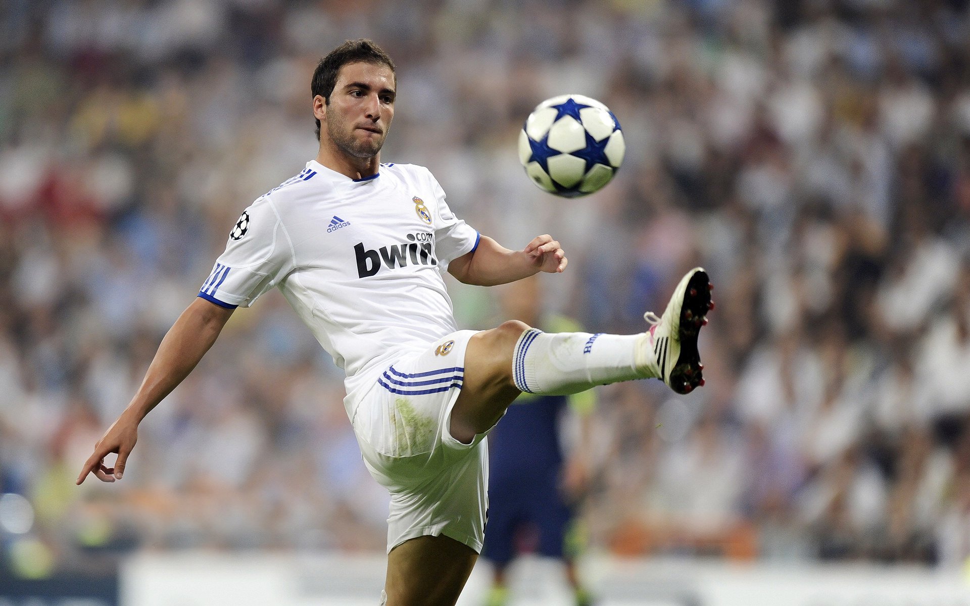 深圳队对阵雄鹿，小贾伦发挥堪称完美