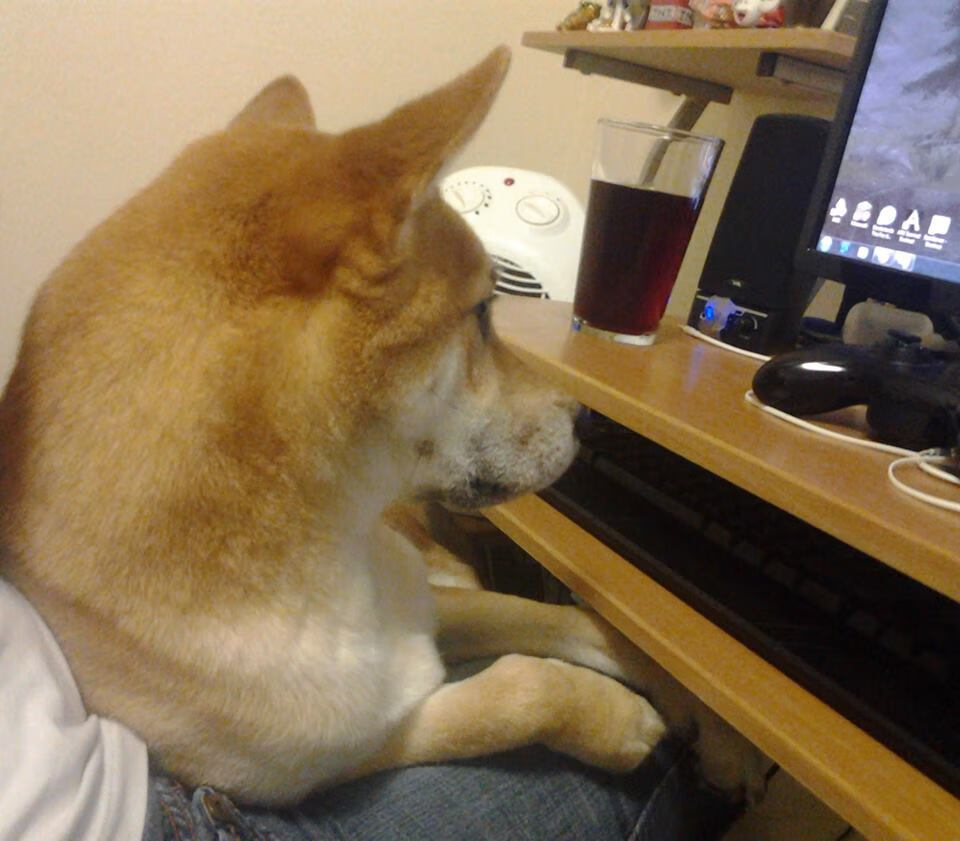 维尼修斯闪光难救主，几内亚决胜局上演逆转神话淘汰墨西哥